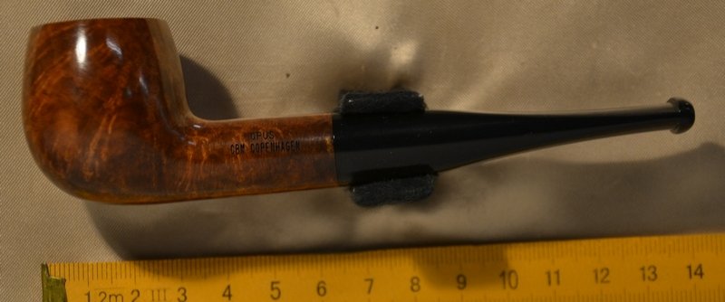 Opus lys 119